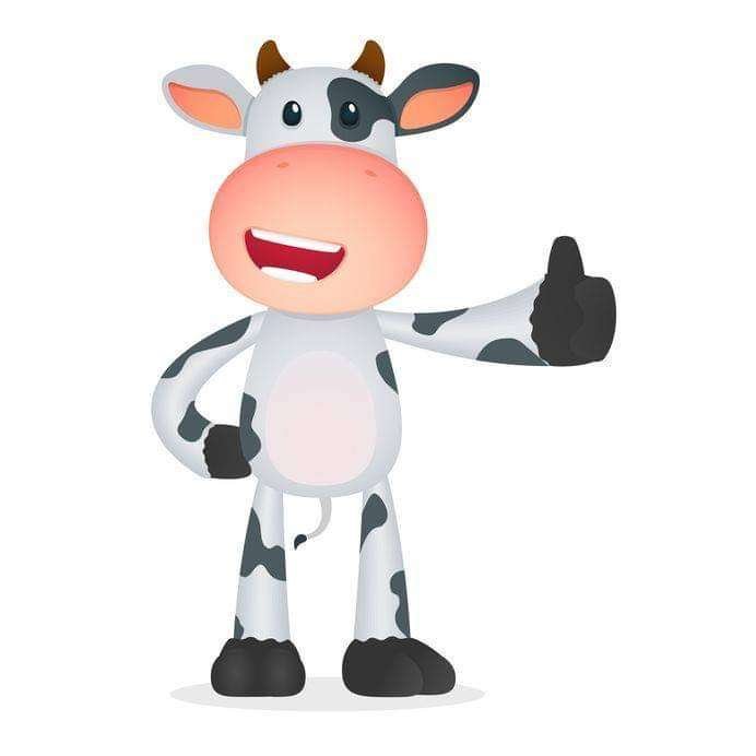 Gift Hampers | Crazy Cow Gifts